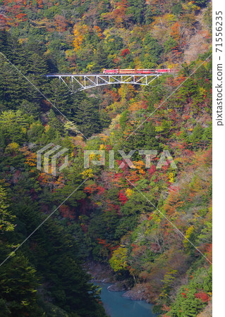 秋葉Oigawa鐵路 秋葉Oigawa鐵路 71556235