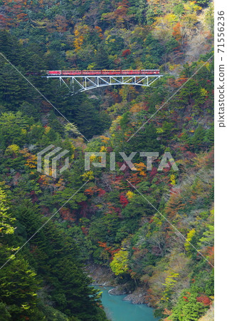 秋葉Oigawa鐵路 71556236