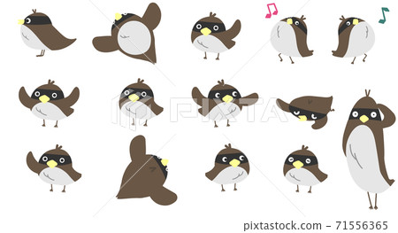 Illustration of a cute sparrow-like bird, a collection of materials for various poses 71556365