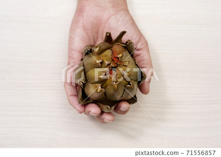 man with a cooked artichoke in his hand man with a cooked artichoke in his hand 71556857