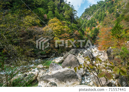 Okuwa Village, Kiso District, Nagano Prefecture Autumn Atera Valley Okuwa Village, Kiso District, Nagano Prefecture Autumn Atera Valley 71557441