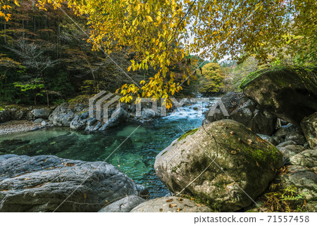 長野縣木曾縣奧庫瓦村，秋天阿特拉谷 71557458