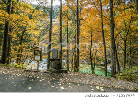 長野縣木曾縣奧庫瓦村，秋天阿特拉谷 71557474