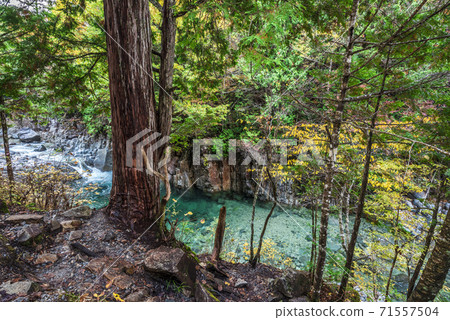 Okuwa Village, Kiso District, Nagano Prefecture Autumn Atera Valley Okuwa Village, Kiso District, Nagano Prefecture Autumn Atera Valley 71557504