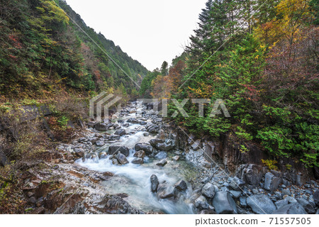 Okuwa Village, Kiso District, Nagano Prefecture Autumn Atera Valley Okuwa Village, Kiso District, Nagano Prefecture Autumn Atera Valley 71557505