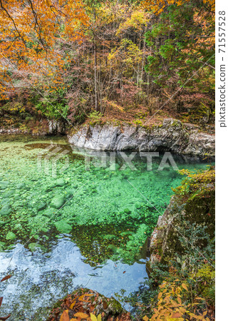 Okuwa Village, Kiso District, Nagano Prefecture Autumn Atera Valley Okuwa Village, Kiso District, Nagano Prefecture Autumn Atera Valley 71557528
