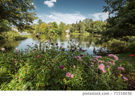 Lazienki Park in Warsaw Lazienki Park in Warsaw 71558036