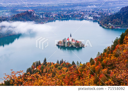 Lake Bled, Slovenia Lake Bled, Slovenia 71558092