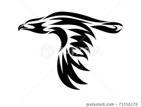 Line art vector of eagle that is flying. Line art vector of eagle that is flying. 71558178
