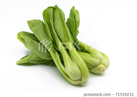 Fresh organic Bok choy vegetable or Chinese cabbage or Taiwanese kale, isolated small pile of Bok choy on the white background.. 71559232
