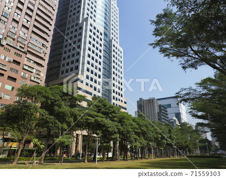 台灣高雄市新光路,高雄市新光路 台灣高雄市新光路,高雄市新光路 71559303