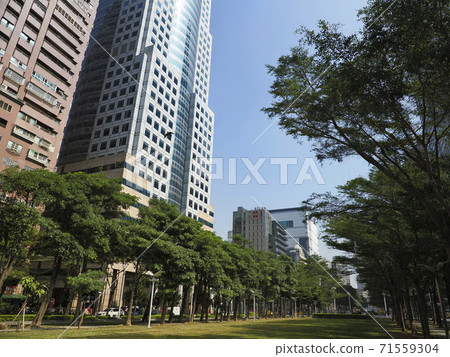 Taiwan Kaohsiung Xinguang Road, Kaohsiung Xinguang Road, Kaohsiung 71559304