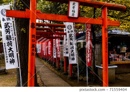 Devil goddess Devil goddess 71559404