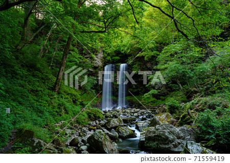 Meoto Falls (Gujo City, Gifu Prefecture) 1 Meoto Falls (Gujo City, Gifu Prefecture) 1 71559419