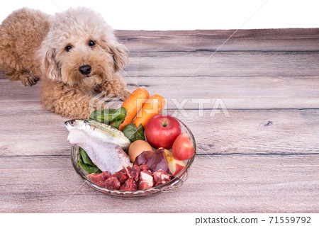 Obedient healthy dogs posing with barf raw meat on wooden surface Obedient healthy dogs posing with barf raw meat on wooden surface 71559792