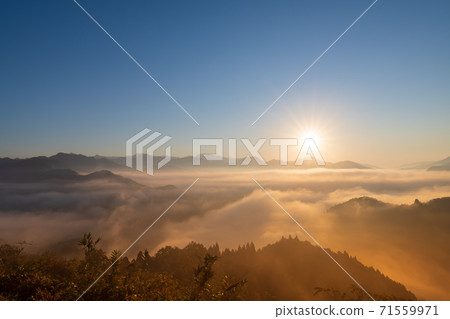 Sea of clouds and Asahi seen from Kunimigaoka in the early morning [Takachiho Town, Miyazaki Prefecture] 71559971