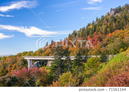 Grandfather Mountain, North Carolina, USA. 71561194