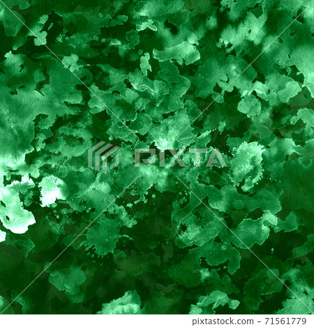 森林深處的綠色珠寶 71561779