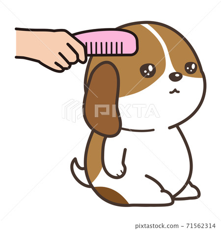 brushing a puppy