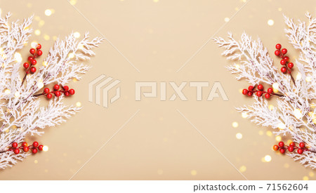 Christmas background in neutral colors. White frost branches with berries and bokeh lights. Winter holiday concept, copy space 71562604