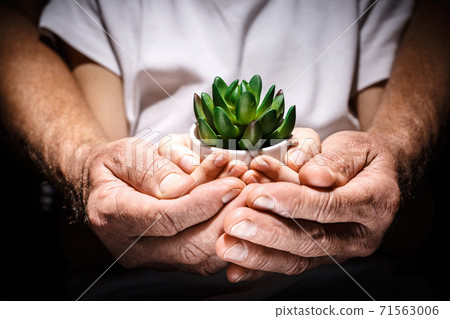 Concept of generational change. Concept of generational change. 71563006
