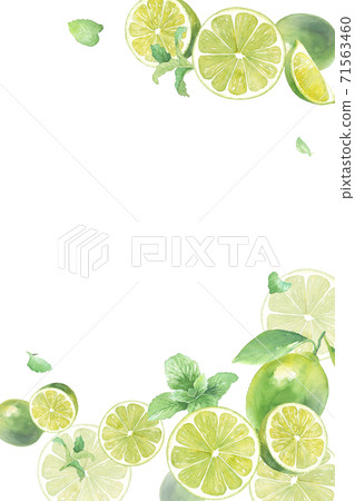 石灰和薄菏的一個刷新的水彩例證。垂直框架設計，頂部和底部裝飾。背景。 71563460