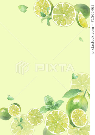 石灰和薄菏的一個刷新的水彩例證。垂直框架設計,頂部和底部裝飾。背景。 石灰和薄菏的一個刷新的水彩例證。垂直框架設計,頂部和底部裝飾。背景。 71563462