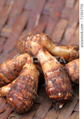 Autumn tradition, harvesting taro 71563750