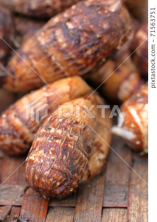 Autumn tradition, harvesting taro Autumn tradition, harvesting taro 71563751