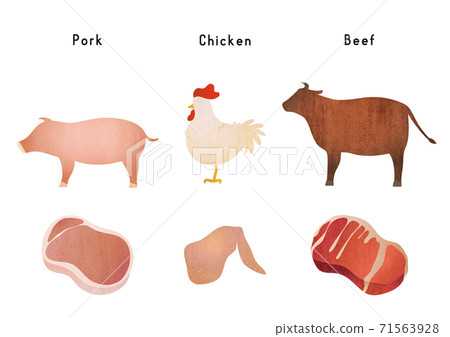 Material illustrations of classic meat and animals Material illustrations of classic meat and animals 71563928