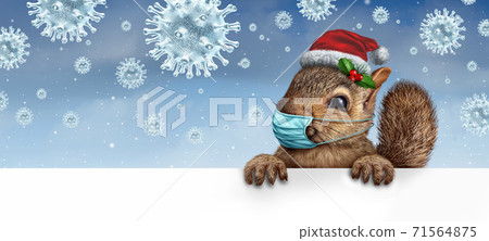 Healthy Holiday Squirrel 71564875