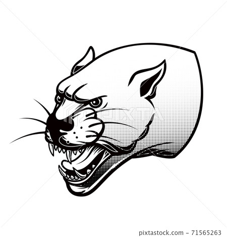 Illustration of pantera head. Design element for poster, card, banner, t shirt sign, emblem. 71565263