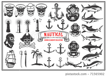 Big set of design elements for nautical emblems, seafood restaurant. Big set of design elements for nautical emblems, seafood restaurant. 71565902