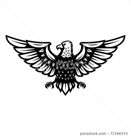 Eagle icon isolated on white background. Design element for logo, label, emblem, sign, badge. Eagle icon isolated on white background. Design element for logo, label, emblem, sign, badge. 71566355