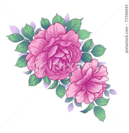 Hand Drawn Floral Arrangement with Pink Roses - Stock Illustration ...