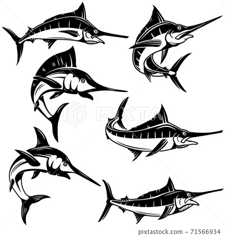 Set of marlin, swordfish illustrations. Design element for logo, label, emblem, sign, badge. 71566934