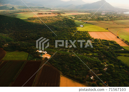 Bird's eye view of beautiful fields Islands of Mauritius and mountains Bird's eye view of beautiful fields Islands of Mauritius and mountains 71567103