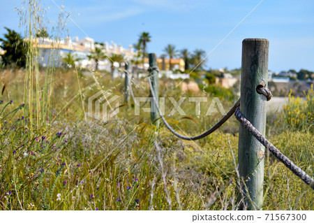 Wooden fencing with rope along the pathway 71567300