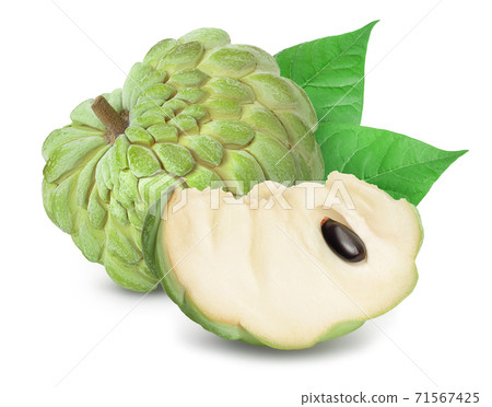 Sugar apple or custard apple isolated on white background with clipping path and full depth of field. Exotic tropical Thai annona or cherimoya fruit Sugar apple or custard apple isolated on white background with clipping path and full depth of field. Exotic tropical Thai annona or cherimoya fruit 71567425