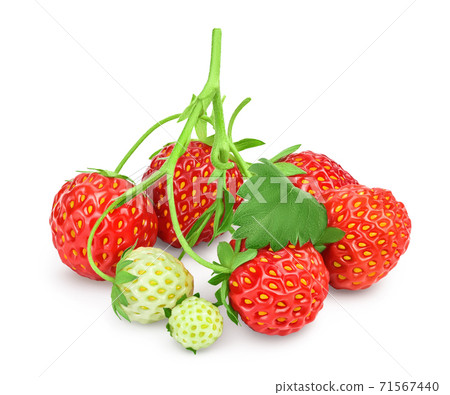 Strawberry isolated on white background. Fresh berry with clipping path and full depth of field Strawberry isolated on white background. Fresh berry with clipping path and full depth of field 71567440