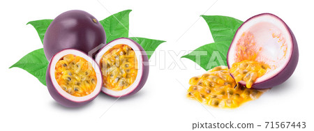 passion fruits and half isolated on white background. maracuya with clipping path and full depth of field passion fruits and half isolated on white background. maracuya with clipping path and full depth of field 71567443