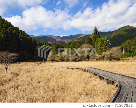 The only marshland overlooking the sacred mountain Fuji Autumn in the Kodanuki Wetland in Fujinomiya City, Shizuoka Prefecture The only marshland overlooking the sacred mountain Fuji Autumn in the Kodanuki Wetland in Fujinomiya City, Shizuoka Prefecture 71567838