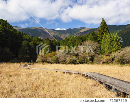 The only marshland overlooking the sacred mountain Fuji Autumn in the Kodanuki Wetland in Fujinomiya City, Shizuoka Prefecture The only marshland overlooking the sacred mountain Fuji Autumn in the Kodanuki Wetland in Fujinomiya City, Shizuoka Prefecture 71567839