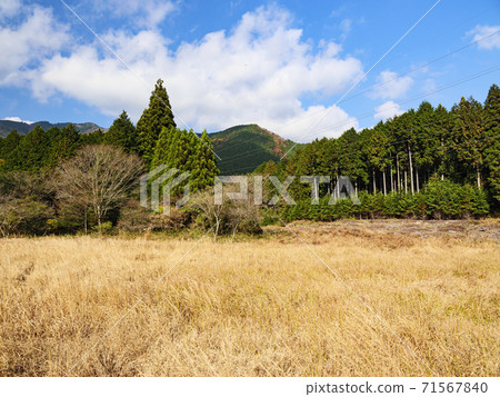 The only marshland overlooking the sacred mountain Fuji Autumn in the Kodanuki Wetland in Fujinomiya City, Shizuoka Prefecture The only marshland overlooking the sacred mountain Fuji Autumn in the Kodanuki Wetland in Fujinomiya City, Shizuoka Prefecture 71567840