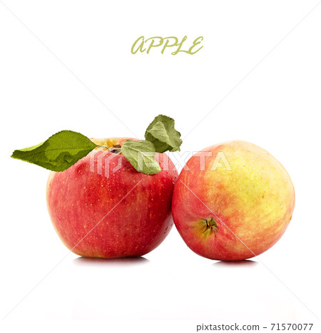 Isolated apples. red apple fruits isolated on white background Isolated apples. red apple fruits isolated on white background 71570077