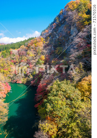 Autumn leaves Komagata Gorge (vertical) 71570316