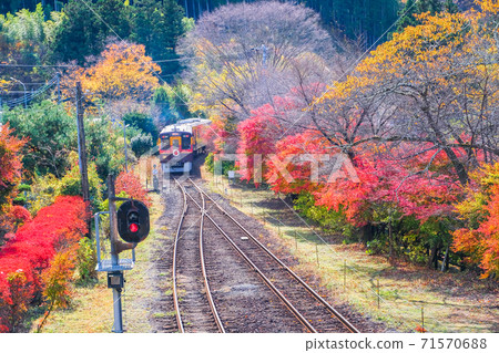 Autumn leaves and Watarase Valley Railway trolley train Autumn leaves and Watarase Valley Railway trolley train 71570688