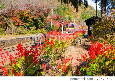 Autumn Sori Station and trolley train Autumn Sori Station and trolley train 71570689