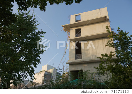 Partly demolished concrete structure framed by dark plant leaves 71571113
