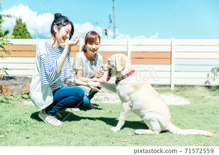 The owner who plays with the dog The owner who plays with the dog 71572559